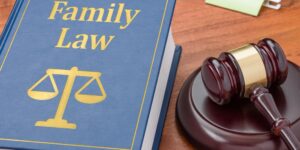 Family Law Experts Sydney Explain Parenting Orders