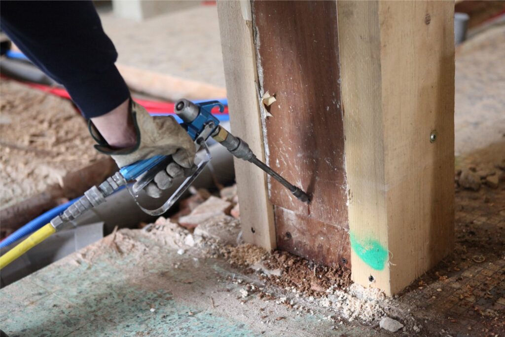 Termite Treatment Sydney: Effective Solutions to Protect Your Home

